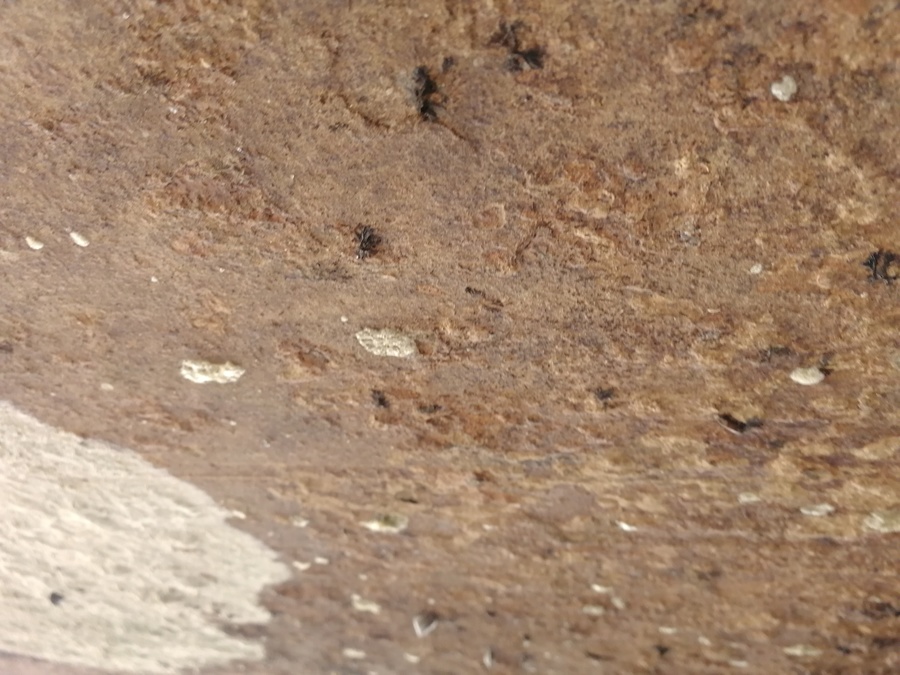 Image of Mylindi's base plate underneath the stern.